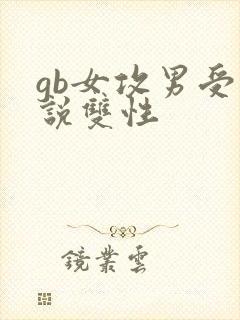 gb女攻男受小说双性封面