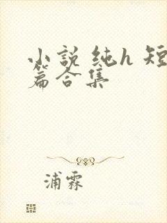 小说 纯h 短篇合集封面