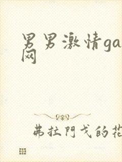 男男激情gay网