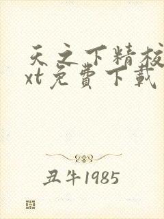 天之下精校版txt免费下载