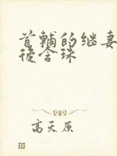 首辅的继妻重生后含珠