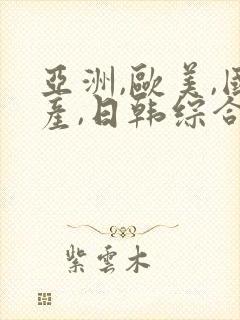 亚洲,欧美,国产,日韩综合一区二区