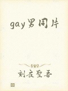 gay男同片
