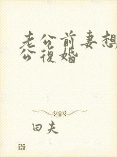 老公前妻想跟老公复婚