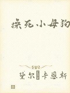 操死小母狗小说