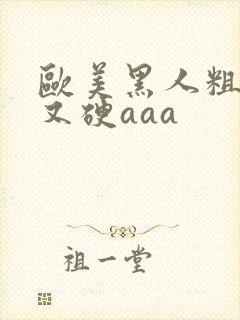 欧美黑人粗又大又硬aaa