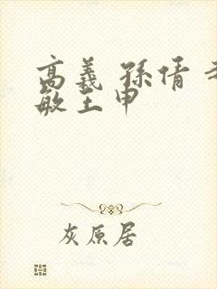 高义 孙倩 赵敏王申