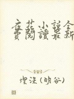 夜花小说全文免费阅读最新章节封面