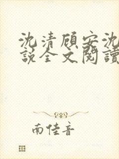 沈清顾安沈澈小说全文阅读