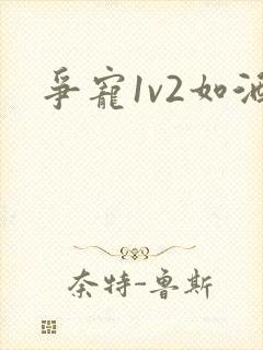 争宠1v2如酒