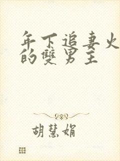 年下追妻火葬场的双男主