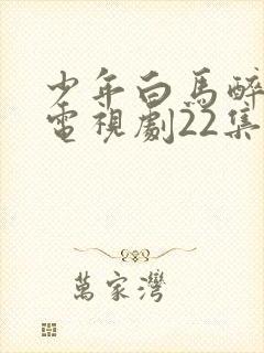 少年白马醉春风电视剧22集免费观看