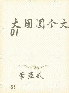大团圆全文阅读01封面
