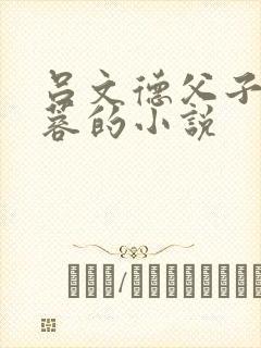 吕文德父子和黄蓉的小说封面