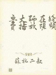 鲁大师在线看免费播放视频电视剧