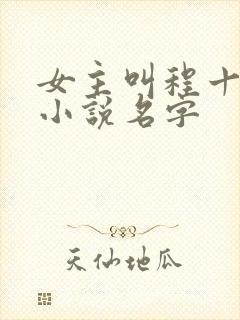 女主叫程十鸢的小说名字