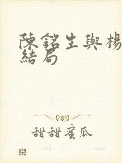 陈铭生与杨昭的结局封面