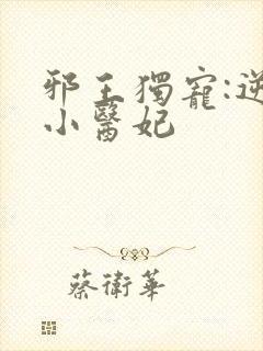 邪王独宠:逆天小医妃