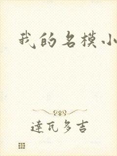 我的名模小娇妻
