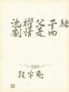 沈耀父子结局后剧情走向封面