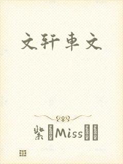 文轩车文