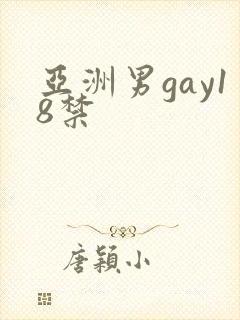 亚洲男gay18禁