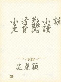 小清欢小说全文免费阅读封面
