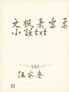 文枫素云柔佳的小说txt