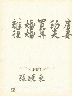 离婚买的房子又复婚算夫妻共同财产吗