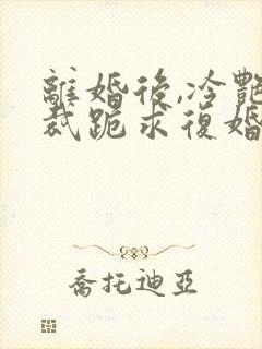 离婚后,冷艳总裁跪求复婚主角小说