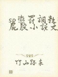 sp惩罚调教打屁股小说文章