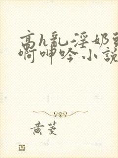 高h乱淫奶头嗯啊呻吟小说