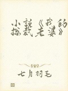 小说《我的冷艳总裁老婆》封面