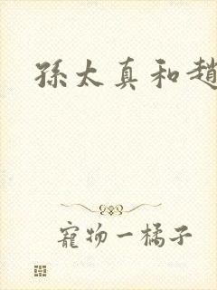 孙太真和赵匡胤