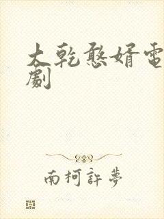大乾憨婿电视短剧