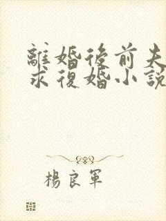 离婚后前夫哭着求复婚小说完整版大结局