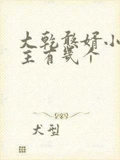 大乾憨婿小说女主有几个封面