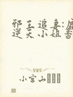 邪王追妻:废材逆天小姐番外封面