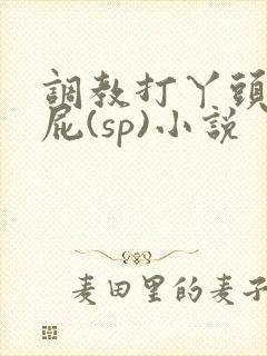 调教打丫头光屁屁(sp)小说