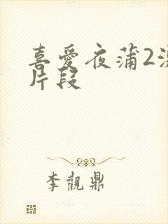 喜爱夜蒲2激情片段