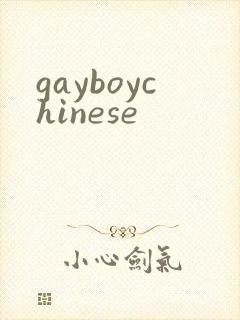 gayboychinese