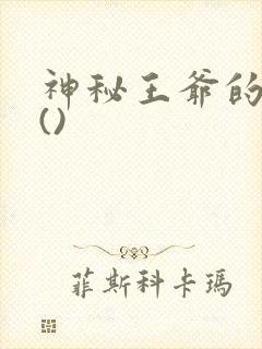 神秘王爷的爱妃()封面