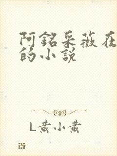 阿铭采薇在人间的小说