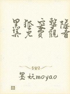 黑狐突击队43集免费观看