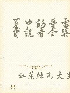 夏中的爱电影免费观看全集高清版