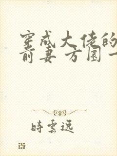 穿成大佬的作精前妻 方圜一里封面