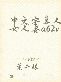 中文字幕人妻熟女人妻a62v网址