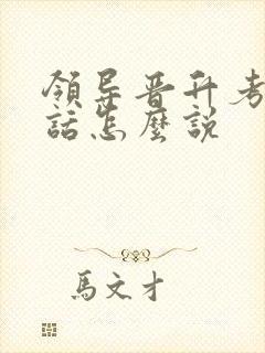 领导晋升考察谈话怎么说封面