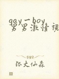 gay一boy男男激情视频
