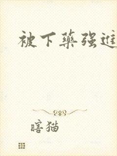 被下药强进入